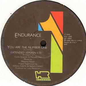 Endurance - You Are The Number One FLAC