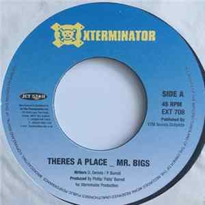 Mr. Bigs - Theres A Place FLAC