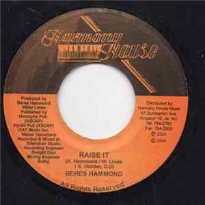 Beres Hammond - Raise It FLAC