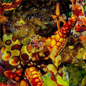 The Legendary Pink Dots - Chemical Playschool Volumes 8 & 9 FLAC
