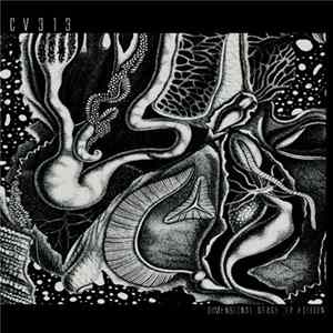 cv313 - Dimensional Space [Alchemy LP Edition] FLAC