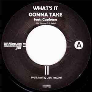 Joni Rewind - What's It Gonna Take FLAC