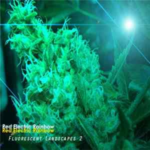 Red Electric Rainbow - Fluorescent Landscapes: Volume 2 FLAC