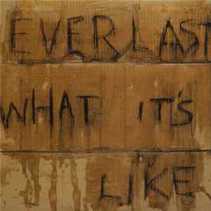 Everlast - What It's Like FLAC