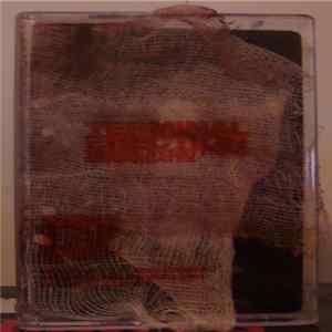 Terminal Erection - Where Everything Disgregates FLAC