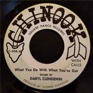 Daryl Clendenin, The Warriors - What You Do With What You've Got FLAC