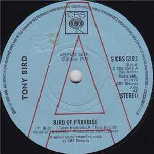 Tony Bird - Bird Of Paradise FLAC