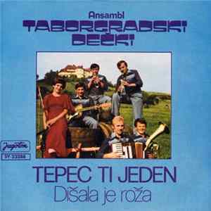 Ansambl Taborgradski Dečki - Tepec Ti Jeden FLAC