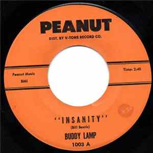 Buddy Lamp - Insanity / Too Late FLAC