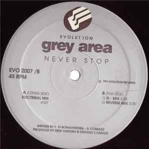 Grey Area - Never Stop FLAC