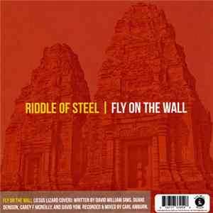 Riddle Of Steel / Traindodge - Fly On The Wall / Robowindows FLAC