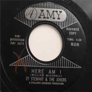 Ty Stewart & The Jokers - Here Am I FLAC