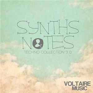 Various - Synths And Notes 3.0 FLAC