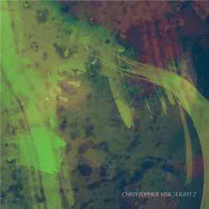 Christopher Sisk - Light 2 FLAC
