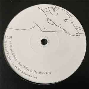 Alleged Witches - One Skilled In The Black Arts FLAC