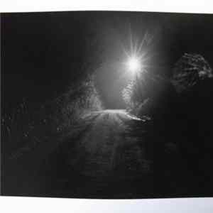 Devin Hoff - The Lost Songs Of Lemuria FLAC