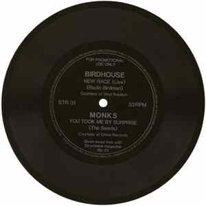 Birdhouse / Monks - New Race / You Took Me By Surprise FLAC