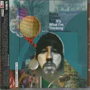 Badly Drawn Boy - It's What I'm Thinking (Part One - Photographing Snowflakes) FLAC