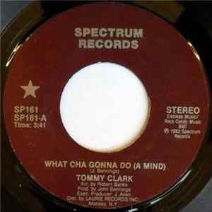 Tommy Clark / Lily Fields - What Cha Gonna Do / He's A Wonder FLAC