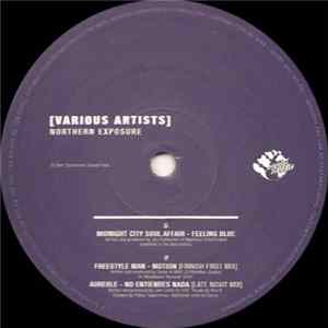 Various - Northern Exposure FLAC