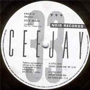 Ceejay - A Little Love (What's Going On) '89 FLAC