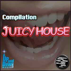 Various - Juicy House FLAC