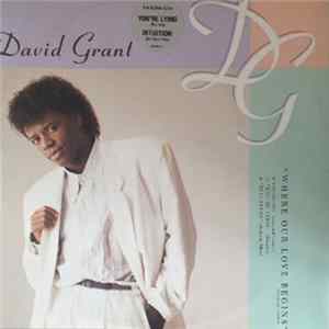 David Grant, Lynx - Where Our Love Begins EP FLAC