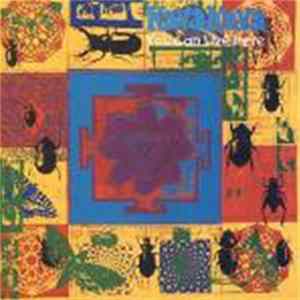 Kava Kava - You Can Live Here FLAC
