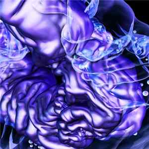 Various - Visceral Minds FLAC
