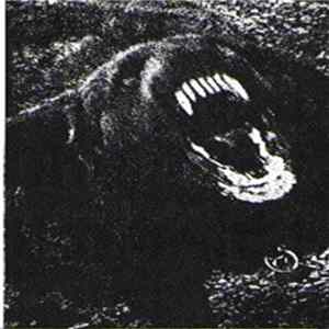 I-C-Kaos - Intrinsic Violence FLAC