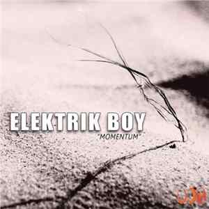 Elektrik Boy - Momentum FLAC
