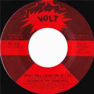 Jeanne & The Darlings - What Will Later On Be Like FLAC