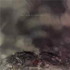 Mørk - Absolute Cosmic Principles FLAC