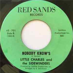 Little Charles And The Sidewinders - You're Blessing FLAC