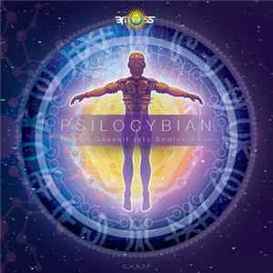PsiloCybian - Unfold Oneself Into Endlessness FLAC