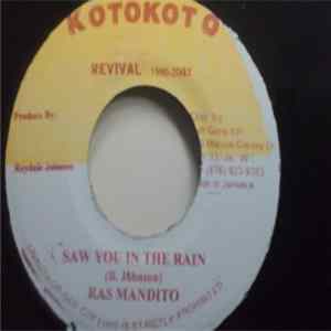 Ras Mandito - Saw You In The Rain FLAC