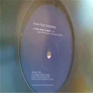 Snake River Conspiracy - How Soon Is Now? FLAC