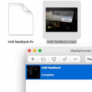 @Wintercouplet (Media Human) - Midi Feedback FLAC