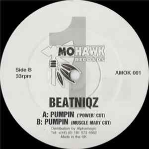 Beatniqz - Pumpin FLAC