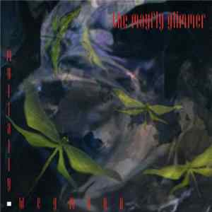 Tim Mullally + Robert Wegmann - The Mayfly Glimmer FLAC