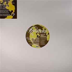 Various - Amfibius Global Sampler FLAC