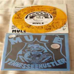 Mule - Tennessee Hustler FLAC