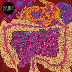 Zahir - What Noise? FLAC