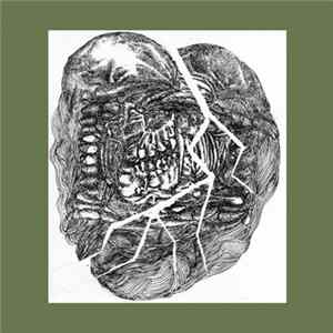 Wolf Eyes - No Answer-Lower Floors FLAC