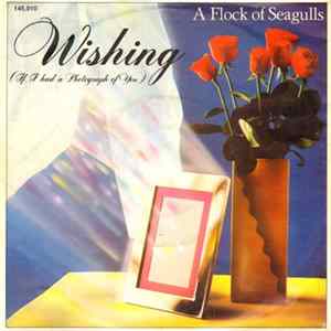 A Flock Of Seagulls - Wishing (If I Had A Photograph Of You) FLAC