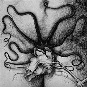 Biche / Organon - Biche / Organon FLAC