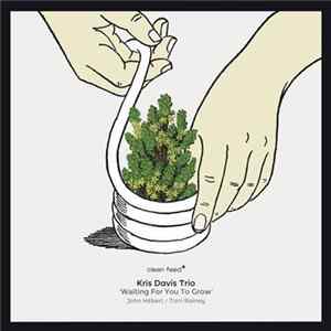 Kris Davis Trio - Waiting For You To Grow FLAC