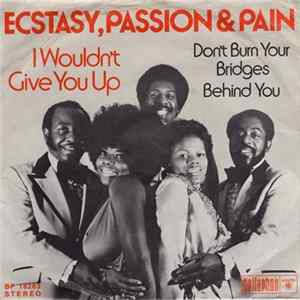 Ecstasy, Passion & Pain - I Wouldn't Give You Up / Don't Burn Your Bridges Behind You FLAC