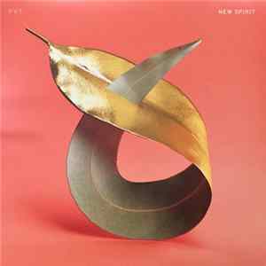 PVT - New Spirit FLAC
