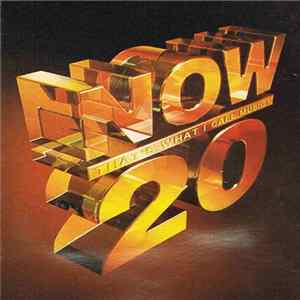 Various - Now That's What I Call Music! 20 FLAC